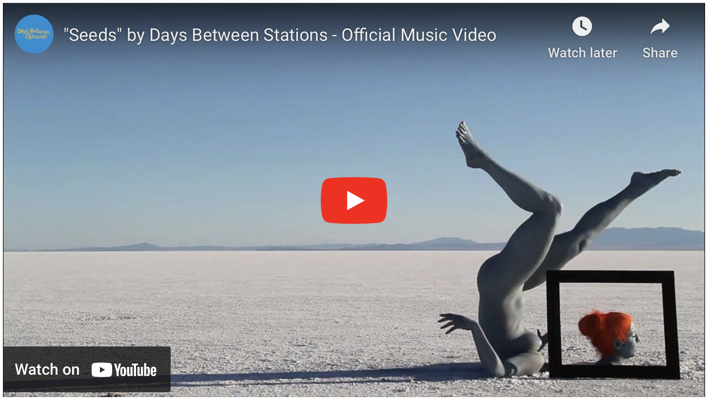 Premiere: the Official Music Video for “Seeds” by Days Between Stations